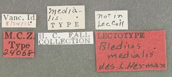 Media type: image;   Entomology 24068 Aspect: labels